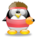 Penguin pingouin pinguino 152